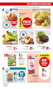 Promo Aménagement Extérieur dans le catalogue Hyper U du moment à la page 31