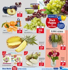 Obst im aktuellen Marktkauf Prospekt (Stuttgart) Obst im Marktkauf Prospekt "Aktuelle Angebote" mit 81 Seiten (Stuttgart)