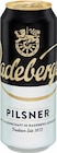 Pilsener im Angebot bei Netto Marken-Discount in Kamenz Pilsener Angebote von Radeberger bei Netto Marken-Discount Kamenz für 0,79 €