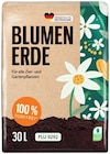 Blumenerde Angebote bei REWE Beckum für 2,99 €