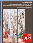 LED-Leuchtzweige im Angebot bei Marktkauf in Erlangen LED-Leuchtzweige Angebote bei Marktkauf Erlangen für 9,99 €