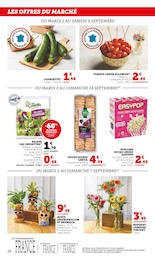 Offre Jardinage dans le catalogue Super U du moment à la page 28