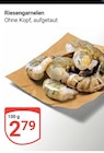Aktuelle Garnele Angebote bei GLOBUS in Mannheim Aktuelles Riesengarnelen Angebot bei GLOBUS in Mannheim ab 2,79 €