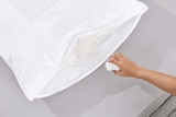 Hydrocool-Kopfkissen im Angebot bei Lidl in Straubing Hydrocool-Kopfkissen Angebote von LIVARNO home bei Lidl Straubing für 7,99 €