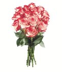 Rosen Angebot in Norderstedt Rosen im aktuellen Prospekt bei Lidl in Norderstedt
