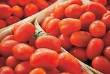 Tomate cerise allongée dans le catalogue Netto