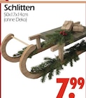 Aktuelles Schlitten Angebot bei Wreesmann in Cottbus ab 7,99 €