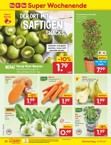 Pflanzen im aktuellen Netto Marken-Discount Prospekt (Stuttgart) Pflanzen im Netto Marken-Discount Prospekt "Aktuelle Angebote" mit 60 Seiten (Stuttgart)
