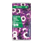 Terreau universel sans tourbe Verve 70L - Verve dans le catalogue Castorama