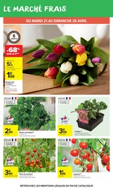 Plante Verte en promo dans le catalogue Carrefour Market à la page 14