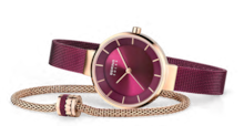 Geschenkset (Kette und Ohrstecker), Solaruhr, Armband, Charm und Ringkombination Angebot in Germering, Oberbay im aktuellen Prospekt bei BERING in Germering, Oberbay
