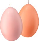 Eikerze 80/120 lachs oder rosa im dm-drogerie markt Prospekt Eikerze 80/120 lachs oder rosa von Profissimo im aktuellen dm-drogerie markt Prospekt für 4,45 €