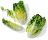 Kaufland Saarbrücken Prospekt mit  im Angebot für 1,99 €