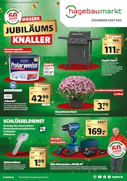 Aktueller Hagebaumarkt Baumärkte Prospekt für Sauerlach: UNSERE JUBILÄUMS KNALLER mit 16} Seiten, 20.07.2024 - 27.07.2024