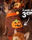 Jouet pour chien - Divers modèles en promo à 2,91 € chez B&M Jouet pour chien - Divers modèles dans le catalogue B&M