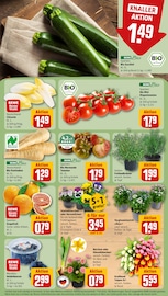 Blumen im REWE Prospekt in Dreieich Aktueller REWE Prospekt mit Blumen, "Dein Markt", Seite 9