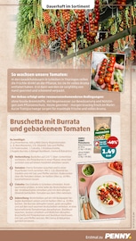 Küchengeräte im Penny Prospekt in Eberswalde Aktueller Penny Prospekt mit Küchengeräte, "Wer günstig will, muss Penny.", Seite 9