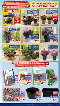 Blumentopf im aktuellen CENTERSHOP Prospekt (Essen) Blumentopf im CENTERSHOP Prospekt "Da geht was." mit 20 Seiten (Essen)