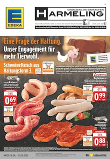 Aktueller EDEKA Prospekt "Aktuelle Angebote" für Bocholt Aktueller EDEKA Prospekt für Bocholt mit Seiten