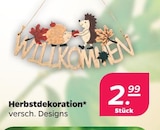 Herbstdekoration für 2,99 € bei Netto mit dem Scottie im Angebot Herbstdekoration im aktuellen Netto mit dem Scottie Prospekt