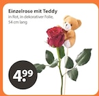 Einzelrose mit Teddy bei V-Markt im München Prospekt für 4,99 €