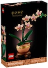 Mini-Orchidee im Angebot bei REWE in Kiel Mini-Orchidee Angebote von LEGO bei REWE Kiel für 20,00 €