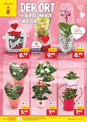 Aktueller Netto Marken-Discount Prospekt mit Blumen, "Aktuelle Angebote", Seite 30