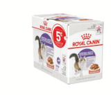 Animalis Courbevoie - Promo Des remises immédiates de 5€ Promo Des remises immédiates de 5€ à dans le catalogue Animalis à Courbevoie