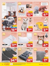 Sitzkissen im Netto Marken-Discount Prospekt in Nordhausen Aktueller Netto Marken-Discount Prospekt mit Sitzkissen, "Aktuelle Angebote", Seite 28