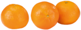 Clementinen im EDEKA Prospekt Clementinen von SanLucar im aktuellen EDEKA Prospekt für 1,99 €