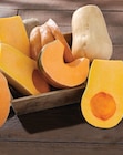 Netto Courrières - Promo Courge Promo Courge à 1,19 € dans le catalogue Netto à Courrières