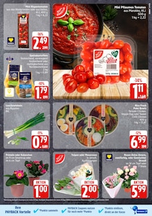 Pflanzen im EDEKA Prospekt "Top Angebote" mit 31 Seiten (Rostock)