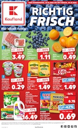 Kaufland Prospekt für Saarbrücken mit 61 Seiten Kaufland Prospekt für Saarbrücken: "Aktuelle Angebote", 61 Seiten, 23.10.2025 - 29.10.2025