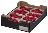 Himbeeren im METRO Prospekt Himbeeren von im aktuellen METRO Prospekt für 3,84 €