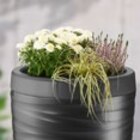 Regentonne Angebote bei Kaufland Worms für 49,99 €