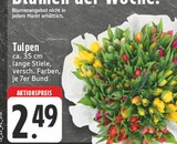 Tulpen Angebote bei E center Leverkusen für 2,49 €