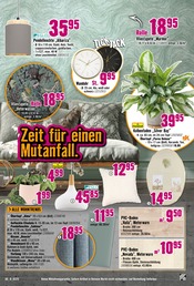 Aktueller Hornbach Prospekt mit PVC, "Endlich Frühling", Seite 26