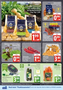 Aktueller EDEKA Prospekt für Güster mit  Seiten