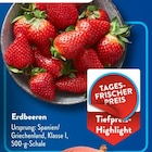 Erdbeeren bei ALDI SÜD im St. Leon-Rot Prospekt für 