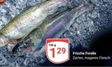 Frische Forelle im Angebot bei GLOBUS in Neunkirchen Frische Forelle Angebote bei GLOBUS Neunkirchen für 1,29 €