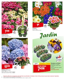 Offre Hortensia dans le catalogue Carrefour du moment à la page 4