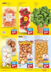 Ähnliche Angebote wie Obstbaum im Prospekt "Aktuelle Angebote" auf Seite 5 von Netto Marken-Discount in Elmshorn