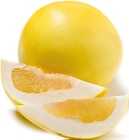 Pomelo bei Netto mit dem Scottie im Ahrensburg Prospekt für 1,99 €