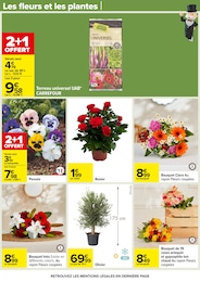 Prix et réduction Olivier dans le prospectus Carrefour en cours Offre Olivier dans le catalogue Carrefour du moment à la page 63