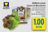Aktuelles Salatrio mit Wurzelballen Angebot bei diska in Dresden ab 1,00 €