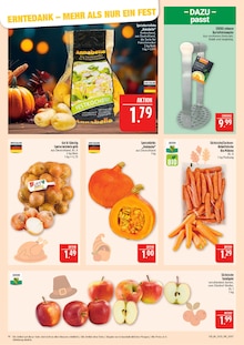 Kürbis im Marktkauf Prospekt "AUSWAHL RIESIG, PREISE NIEDRIG" mit 44 Seiten (Leipzig)