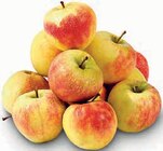 Aktuelle Äpfel Angebote bei nah&frisch in Münster Aktuelles Tafeläpfel Elstar Angebot bei nah&frisch in Münster ab 1,88 €