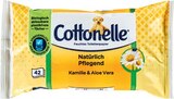 Feuchtes Toilettenpapier im Angebot bei Netto Marken-Discount in Erfurt Feuchtes Toilettenpapier Angebote von Cottonelle bei Netto Marken-Discount Erfurt für 1,19 €