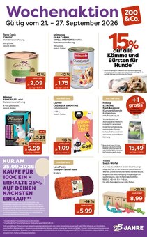 Katzenfutter im ZOO und Co. Prospekt "Wochenaktion" mit 1 Seiten (Hamm)
