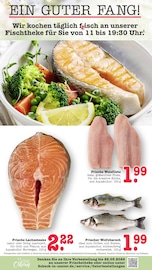Fisch im E center Prospekt in Mainz Aktueller E center Prospekt mit Fisch, "Aktuelle Angebote", Seite 15